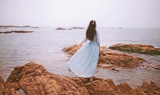 十里花雨财临门是什么生肖