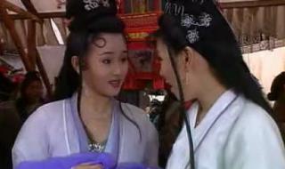 新天仙配之七仙女正传