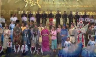 大湾区晚会2024完整版