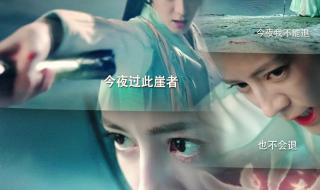 纪云禾为什么有鱼尾巴