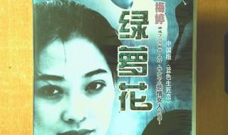 绿萝花电视剧免费观看